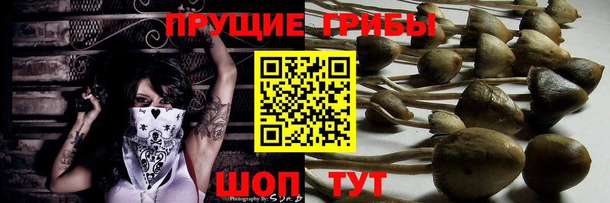 Псилоцибиновые грибы мухоморы  Вход с VPN  Кострома 