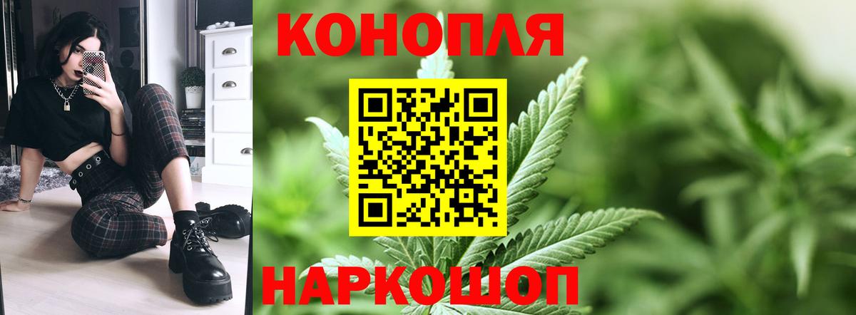 Шишки марихуана план  МАРИХУАНА планчик  Вход с VPN  Канабис сатива  Кострома 